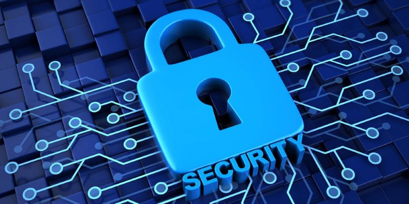 📚 Phạm vi và nội dung của chính sách